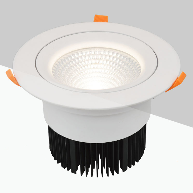 20W LED Adjustable Downlights CREE COB